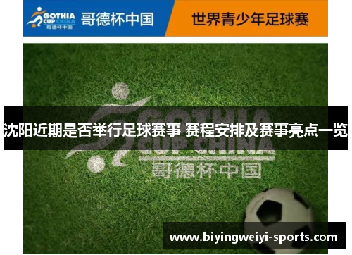 沈阳近期是否举行足球赛事 赛程安排及赛事亮点一览